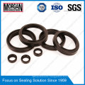 Lbi Profile Hydraulic Cylinder Rod Double Dust Wiper Seal Ring